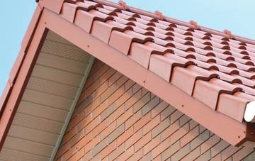 Frittiscombe fascia repair quotes