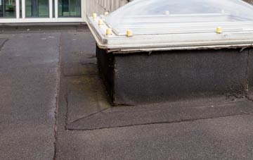 disadvantages of Frittiscombe flat roofs